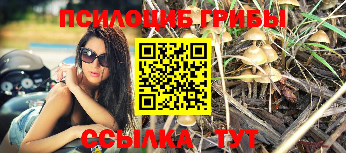 Альфа ПВП СК   Людиново  ГАШИШ  МАРИХУАНА  Меф   ГАШ  Вход с VPN 