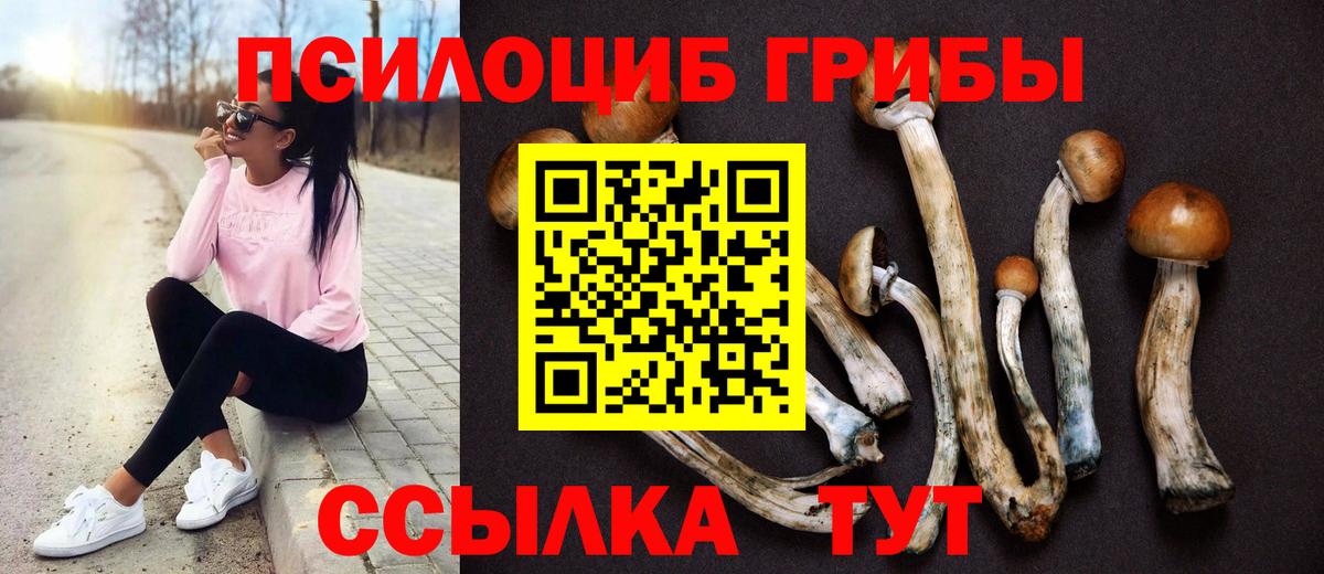 Галлюциногенные грибы прущие грибы Людиново