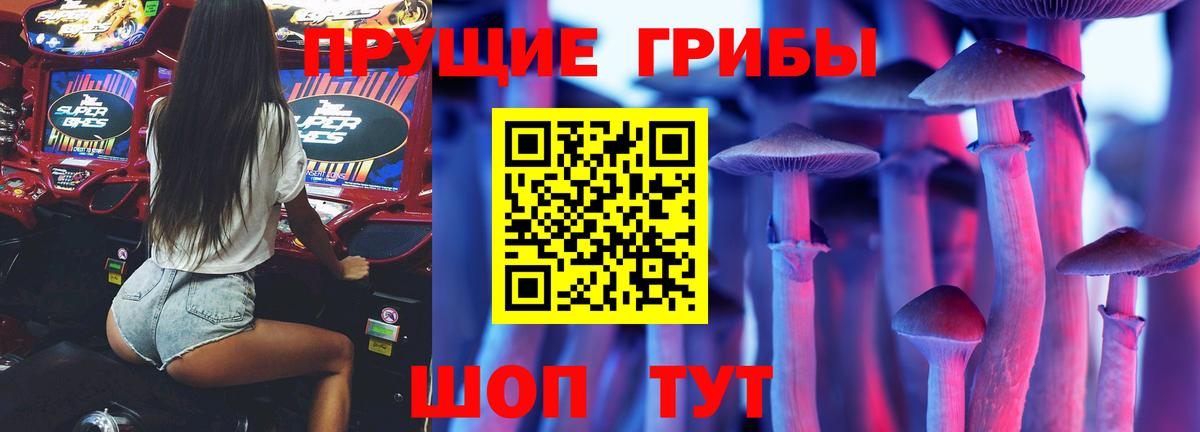 Псилоцибиновые грибы Psilocybe  Вход с VPN  Людиново 